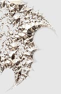 psy-fractal
