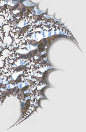 psy-fractal
